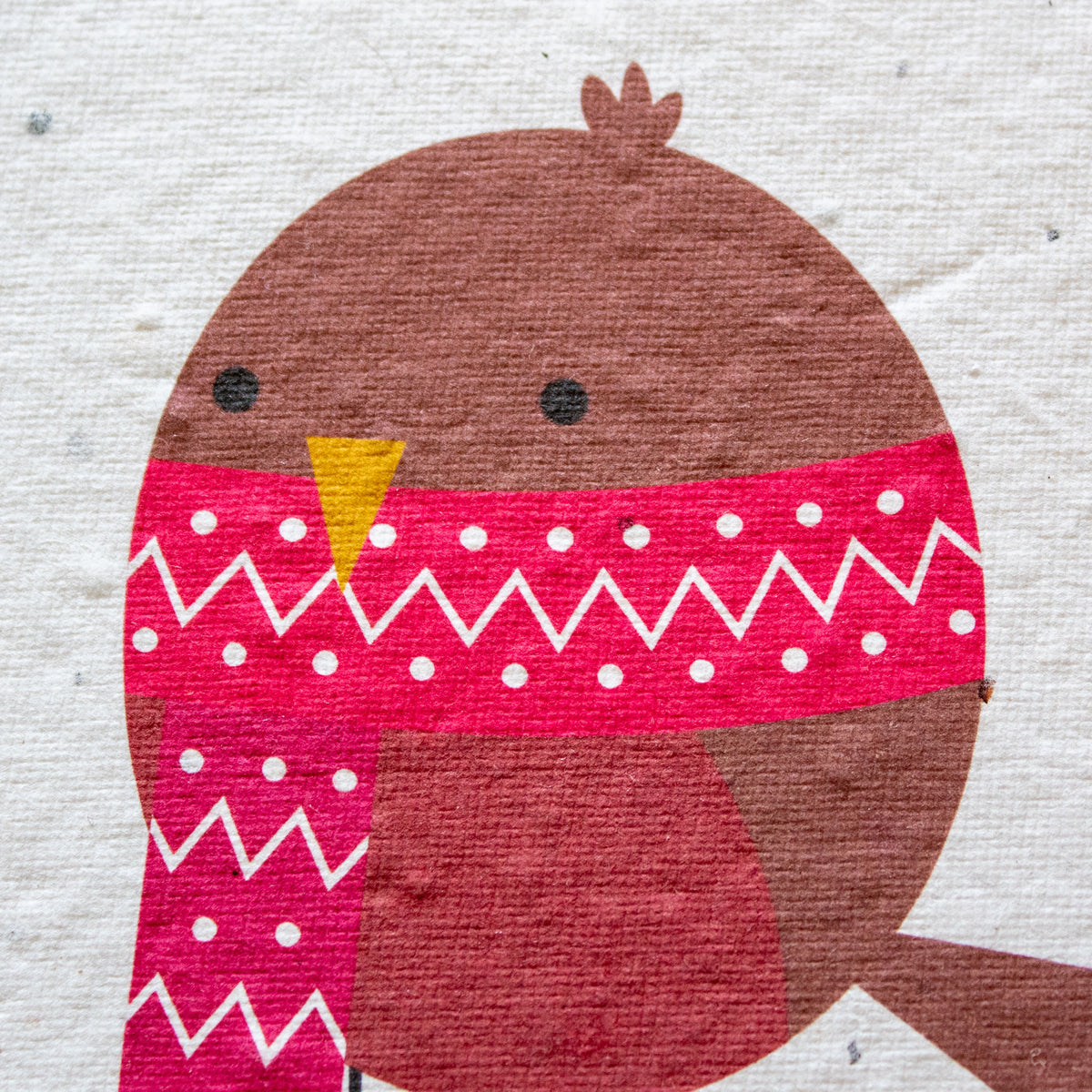 Plantable Christmas Card - Robin | Greetings Card - The Naughty Shrew
