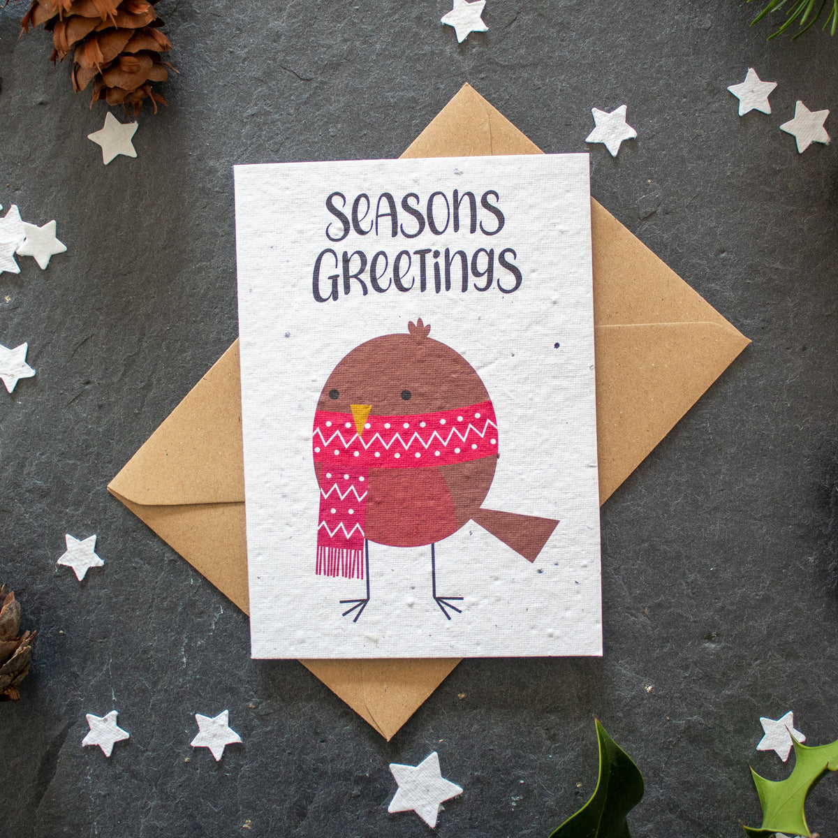 Plantable Christmas Card - Robin | Greetings Card - The Naughty Shrew