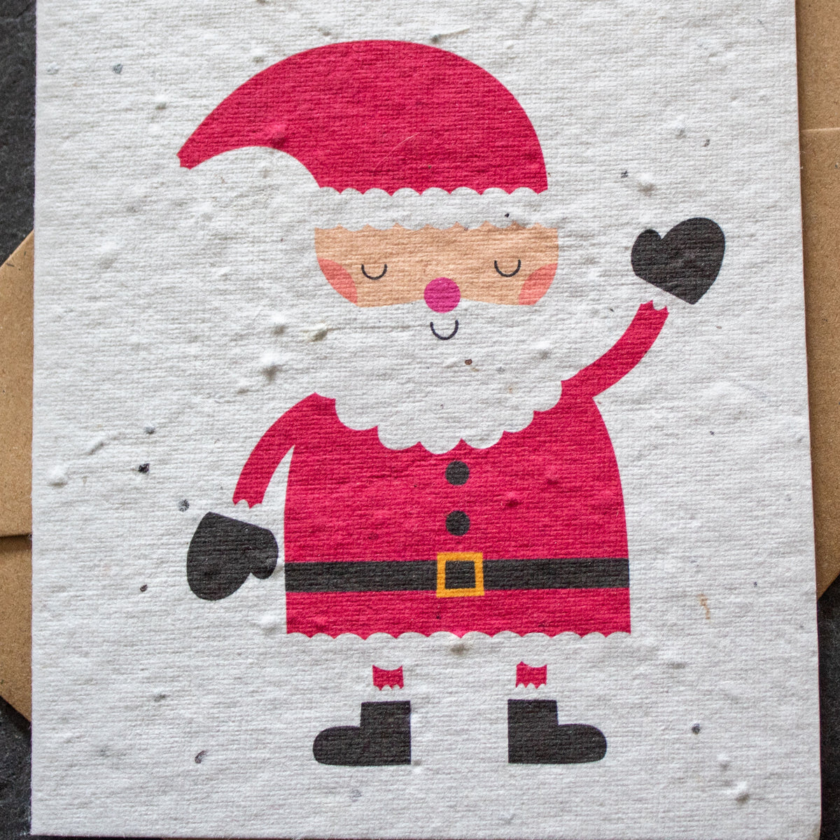 Plantable Christmas Card - Father Christmas | Greetings Card - The Naughty Shrew