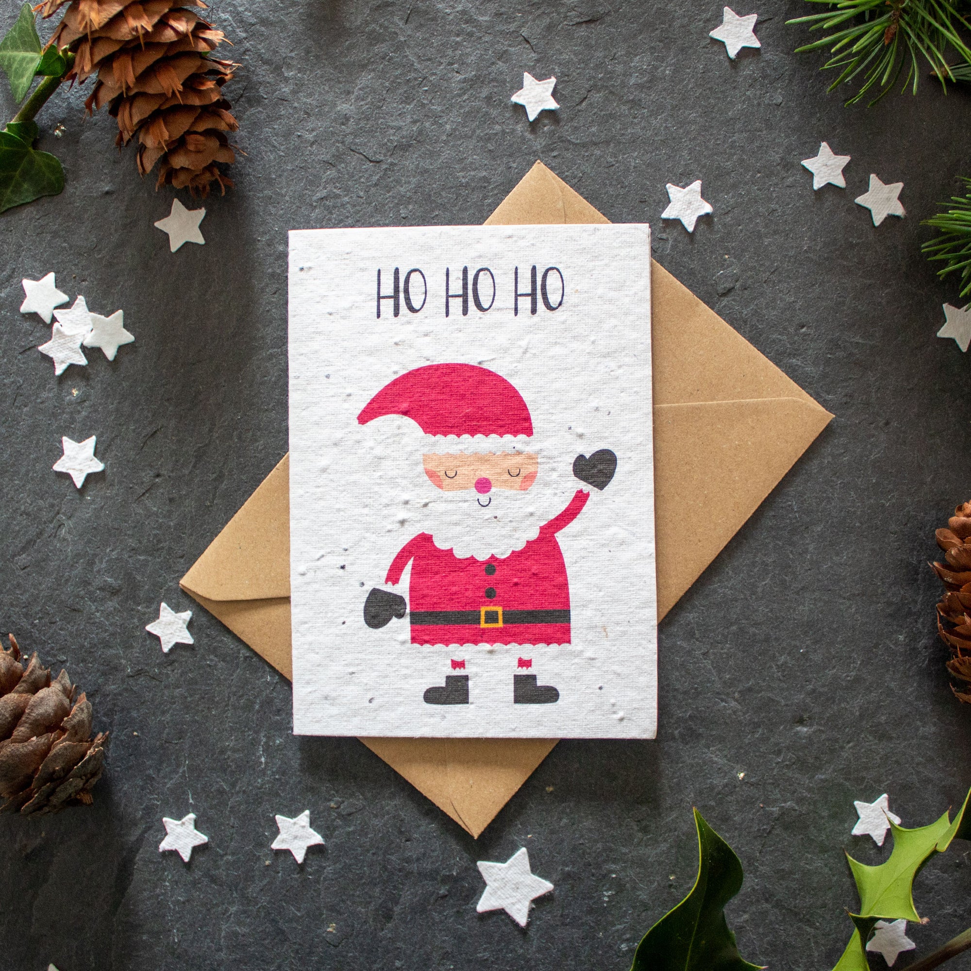 Plantable Christmas Card - Father Christmas | Greetings Card - The Naughty Shrew