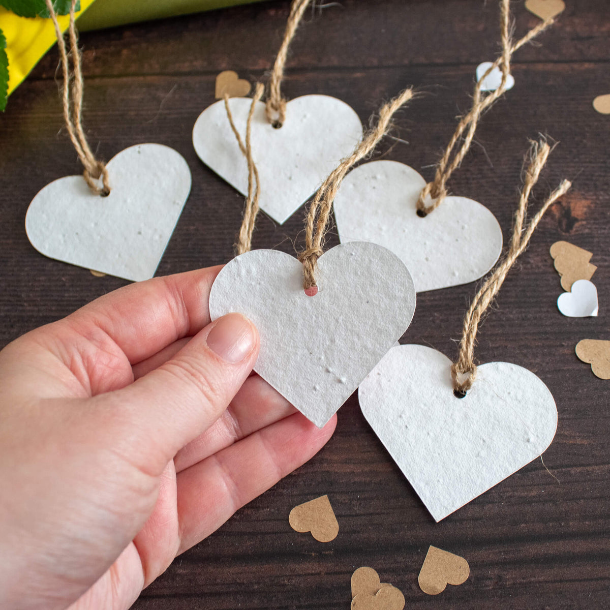 Plantable Gift Tag - Heart Shape - Set Of 6 | Gift Tag - The Naughty Shrew