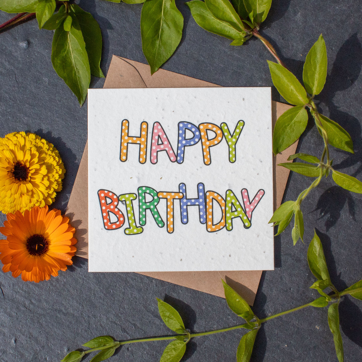 Plantable Birthday Day Card - Happy Birthday Spots | Greetings Card - The Naughty Shrew