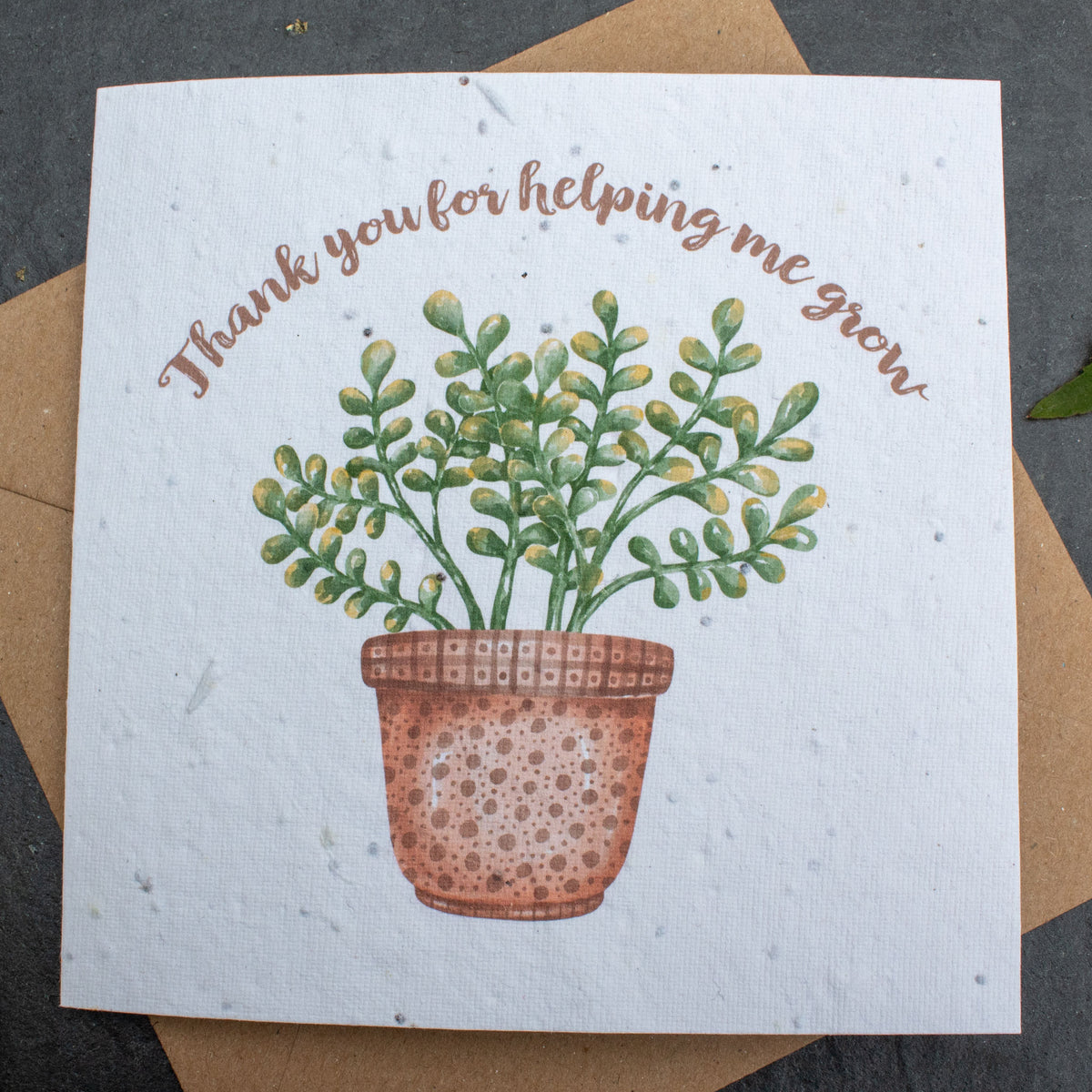 Plantable Card - Thank You For Helping Me Grow | Greetings Card - The Naughty Shrew