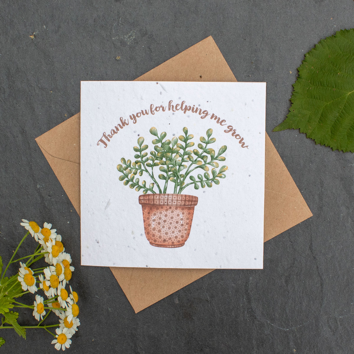 Plantable Card - Thank You For Helping Me Grow | Greetings Card - The Naughty Shrew