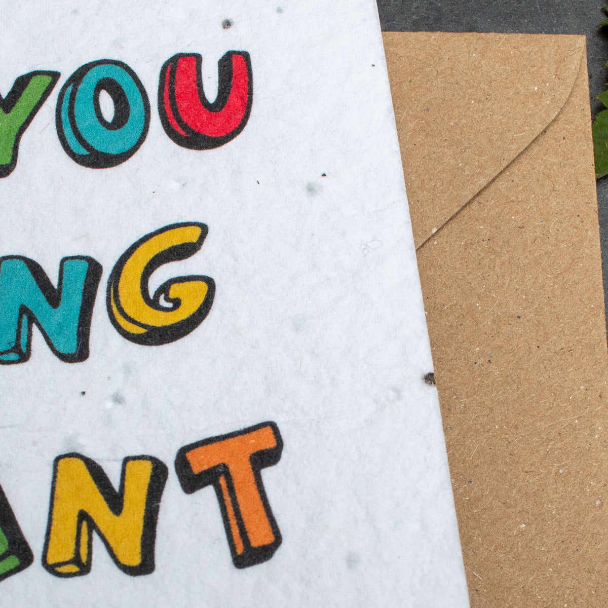 Plantable Card - Thank You Teaching Assistant | Greetings Card - The Naughty Shrew