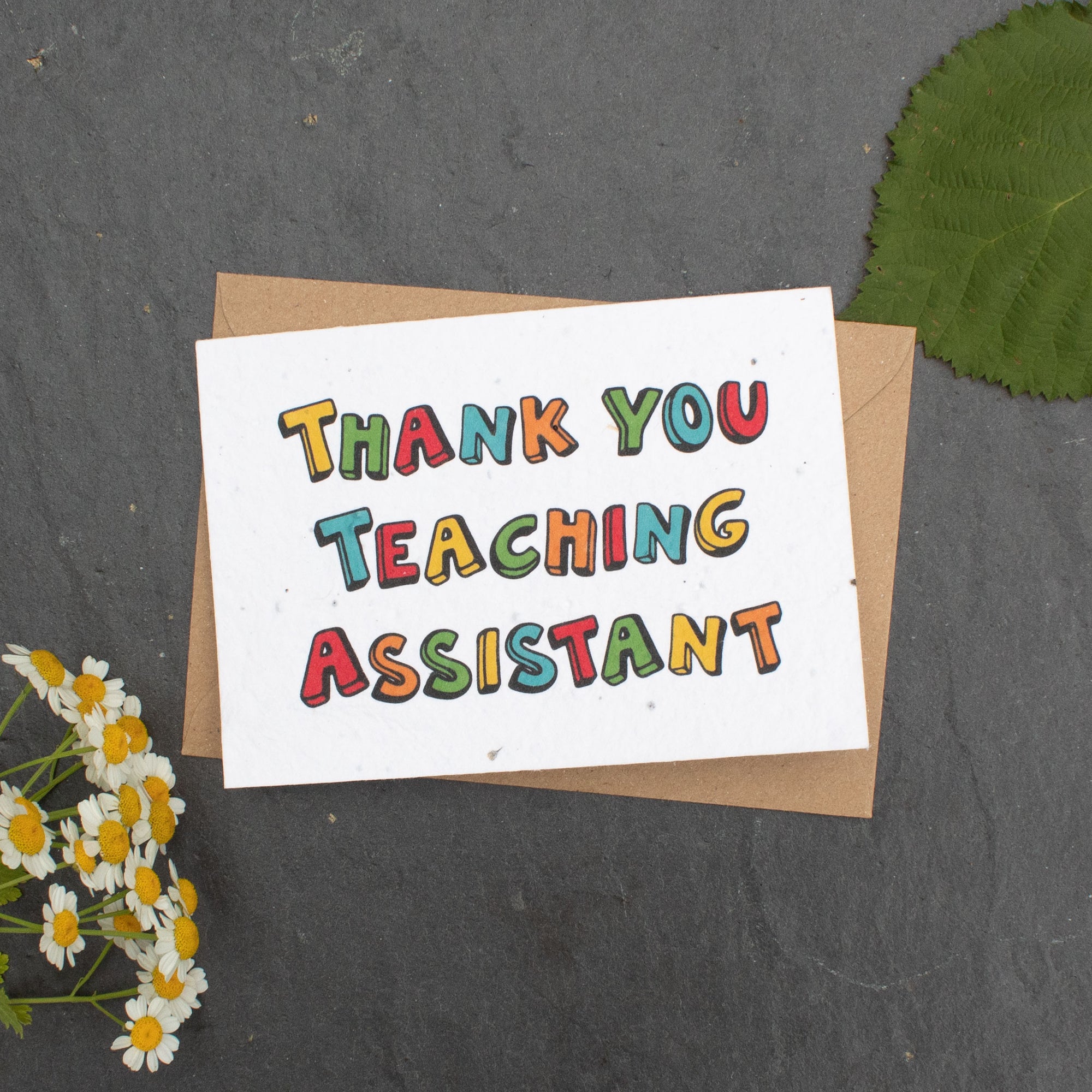 Plantable Card - Thank You Teaching Assistant | Greetings Card - The Naughty Shrew